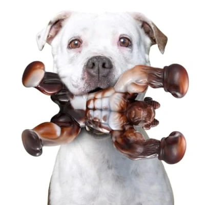 Image of Zinbo Dog Toys for Aggressive Chewers, Indestructible Toys, Tough Chewers Medium/Large Breed, Real Bacon Flavored, Durable Nylon Bone