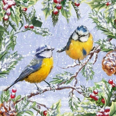 Image of Ambiente Christmas Napkin 33cm Chirping Blue Tits Serviettes