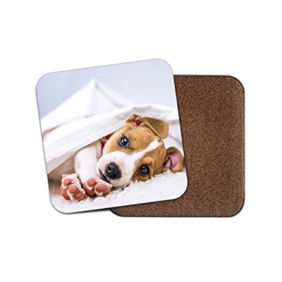 Image of 1 x Cute Jack Russell Pup Cork Backed Drinks Coaster Dog Animal Mum #8286