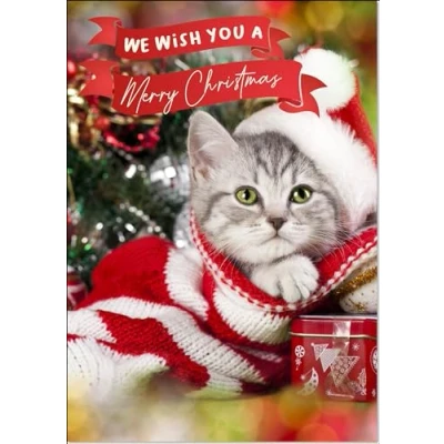 Image of doodlecards Merry Christmas Card Cute Santa Paws Kitten Cat Pet Hat Medium Size with Plain Envelope