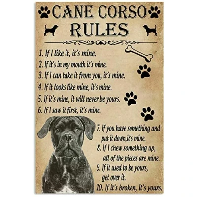 Image of TNND Funny Rules For Your Dog Cane Corso Metal Sign Art Tin Poster Gift 8x12 inch