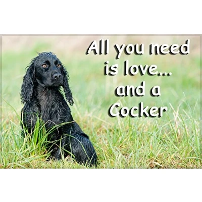 Image of Cocker Spaniel Fridge Magnet Perfect Birthday or Christmas Gift