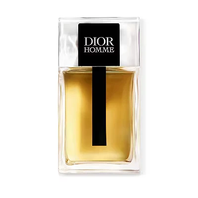 Image of Christian Dior Mens Homme Edt Spray 100ml NA One Size