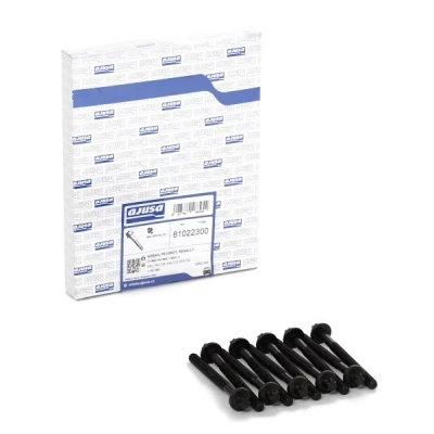 Image of 7700107044x10 Cylinder Head Bolt Kit AJUSA 81022300 Male Torx 10 RENAULT: CLIO 2, Kangoo I, TWINGO 1, PEUGEOT: 206 Hatchback