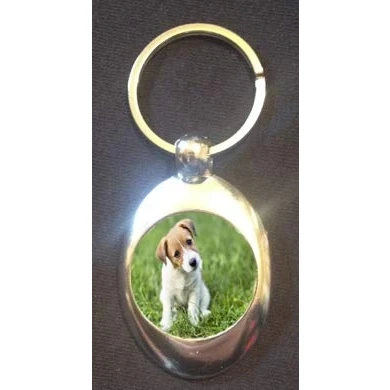 Image of DottsMusic Jack Russell Dog Cute Pet Design on Shopping Trolley Keyring Token (£1 Coin)