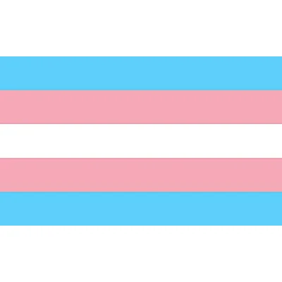 Image of SHATCHI 5ft x 3ft Gay Lesbian Love Gender Diversity Trans/LGBTQ/Pansexual/Non Binary/Genderfluid Celebration Supporter Fans Parade Wedding Gifts Decorations, Transgender