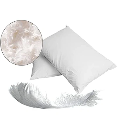 Image of Luxury White Hungarian Goose down feather Pillow pairs (19&quot;x29&quot; Pillows)