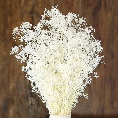 Image of Uhky 17 inch Dried Baby&#039;s Breath Flowers Bouquet 1500+ Pure White Dry Flowers, Real Natural Gypsophila Branches for Wedding, DIY Home Party Table Decor, Wreath Floral (White)