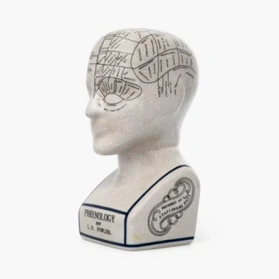 Image of Assorted Collections Phrenology Head Ceramic Ornament Collectable Retro Bust 23cms Crackle L N Fowler
