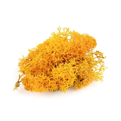 Image of War World Scenics Lichen Orange Moss Model Foliage 60g Railway Wargame Scenery Landscape Modelling Trees Bushes Hedges Diorama Basing Material