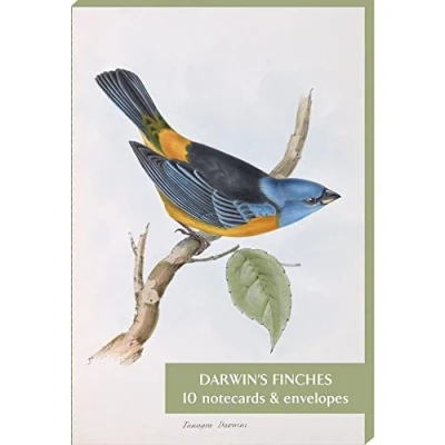 Image of The Fitzwilliam Museum Darwin&#039;s Finches Pack of 10 Notecards (2 Each 5 Designs) Blank Greeting Cards by Cambridge