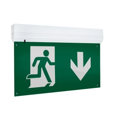 Image of Phoebe Krios LED Emergency Wall/Ceiling Mounted Exit Blade 2W 6000K