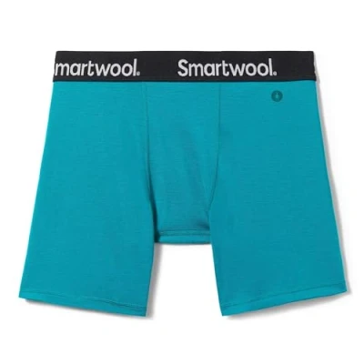 Image of Smartwool Men&#039;s Boxer Brief, SW016996L391003