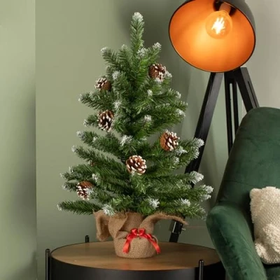 Image of Samuel ALEXANDER 60cm Mini Frosted Norway Tree with 72 Tips and Pine Cones