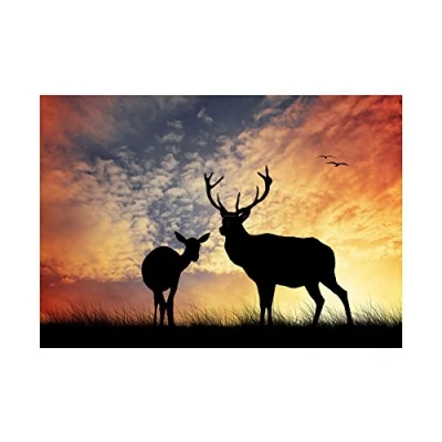 Image of Wee Blue Coo Photo Composition Deer Silhouette Sunset Sky Stag Picture Wall Art Print