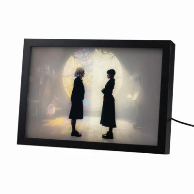 Image of Wednesday &amp; Enid LED Framed Print