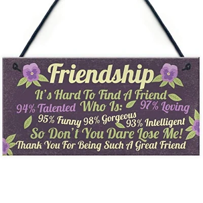 Image of RED OCEAN Funny Best Friend Sign Friendship Gift Hanging Plaque Thank You Novelty Birthday For Her