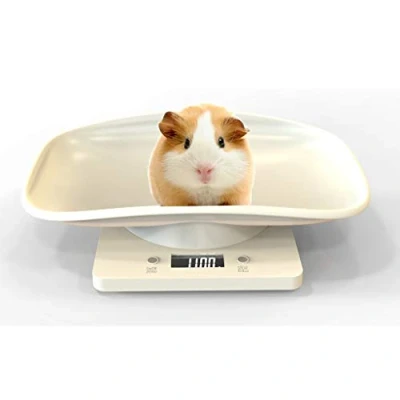 Image of Aceshop Digital Pet Scale, Weight Scale Mini Food with LCD Display, 4 Weighting Modes(oz/ml/lb/g) for Pets and Kitchen Measuring Small Cats, Dogs, Food, Capacity up to 10kg/22lb