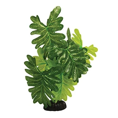 Image of Indian Fern Silk Like Plant 20cm by KenKoi