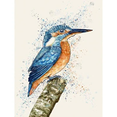 Image of Wee Blue Coo Kingfisher Watercolour Art Print Poster Wall Decor 12X16 Inch