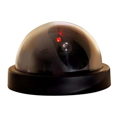 Image of Eagle Dummy Dome Surveillance Camera