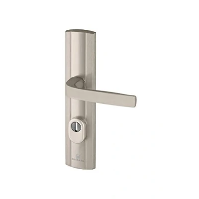 Image of Bricard 9910151 Set of Armoured Handles on Expression Plate Entrance Door Stand (for European Cylinders) Stainless Steel, stainlesssteel
