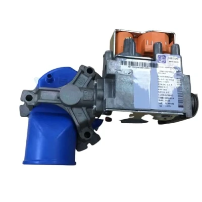 Image of Glow Worm Gas Section 0020020735