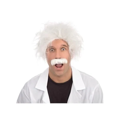 Image of Bristol Novelty BW688 Einstein Wig, One Size