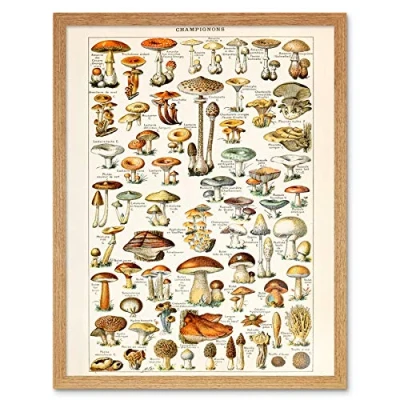 Image of Artery8 Millot Encyclopedia Page Mushrooms Fungus Art Print Framed Poster Wall Decor 12x16 inch