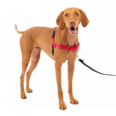 Image of PetSafe Easy Walk Harness, No Pull Walking Harness for Dogs, Adjustable Fit, Includes 1.8m Lead, Medium Red