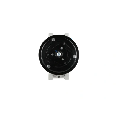 Image of 09132925, 13193157, 1854113, 6854025, 6854075 AC compressor NRF 32117 PXV16 12V PAG 46 with oil, seal ring