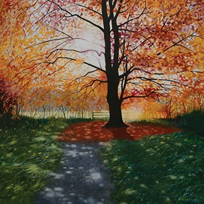 Image of Tree Landscape Greeting Card. Autumn Light by Heather Blanchard