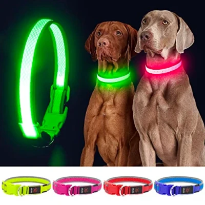 Image of YFbrite Light up Dog Collar, Rechargeable LED Flashing Adjustable Reflective Collar Safety Glowing at night (Green, Medium)