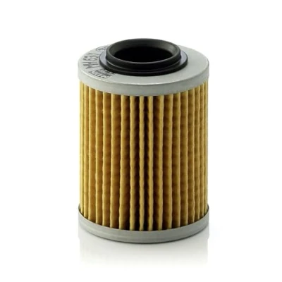 Image of 0256187, AP0256187 Oil Filter MANN MH 63/1 Insert
