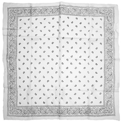 Image of Zac&#039;s Alter Ego Lightweight Meter x Retro Paisley Print Square Scarf/Shawl