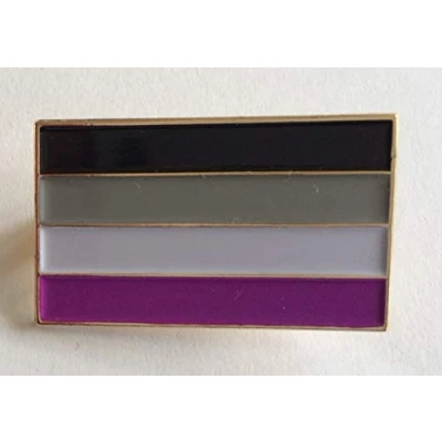 Image of MadAboutFlags Asexual Pride LGBT Flag Rectangular Enamel Pin Badge