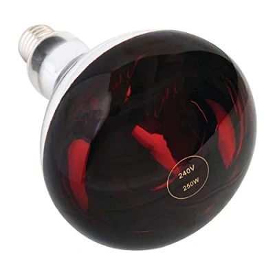 Image of Non Branded Heat Lamp ES Ruby 250watt