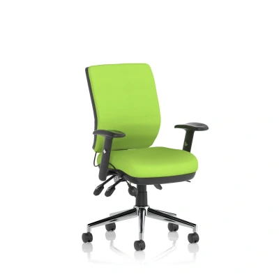 Image of Chiro Medium Back Bespoke Colour Myrrh Green