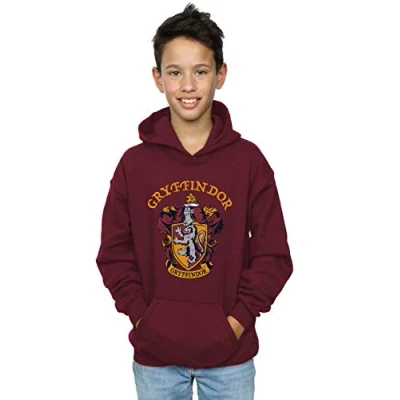 Image of Harry Potter Gryffindor boys&#039;s Children&#039;s sweatshirt in Multicolour