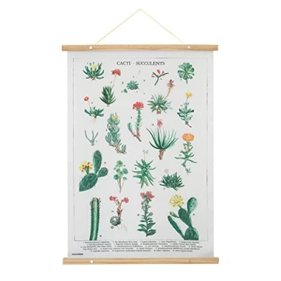 Image of Grupo Erik Botanical Cacti Wallscroll Hanging scroll/Poster/Kakemono/Wall Decor 19.7 x 27.6 inches / 50 70 cm Prints Cactus Gifts