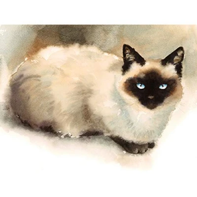 Image of Wee Blue Coo Cat Ragdoll Watercolour Large Wall Art Print Canvas Premium Poster
