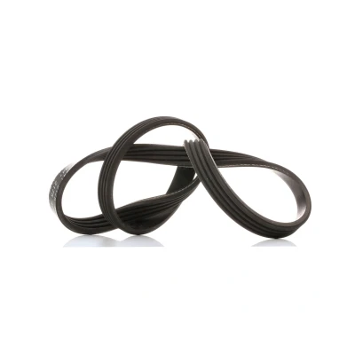 Image of 11287791786 V ribbed belt FEBI BILSTEIN 38441 BMW: 3 Saloon, Touring, 1 Hatchback