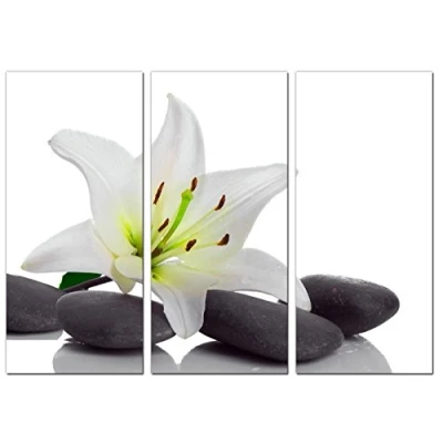 Image of Wallfillers Set of 3 Black White Floral Wall Pictures Split Canvas Art Prints 3024