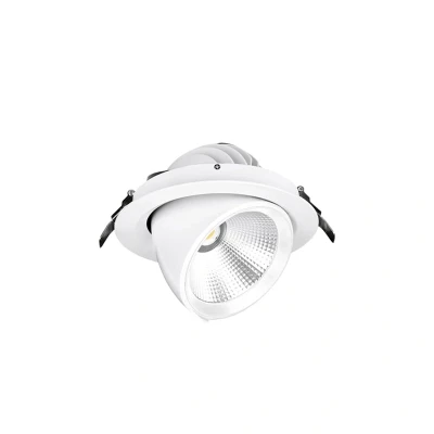 Image of Apex Adjustable Wallwasher LED Light 30W 24 Degree White Aurora