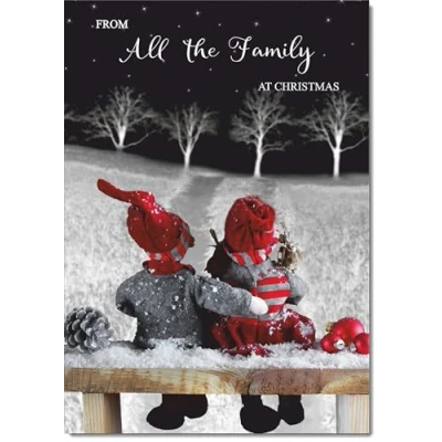 Image of doodlecards From All The Family Christmas Card Couple at Night Medium Size for with Plain Envelope