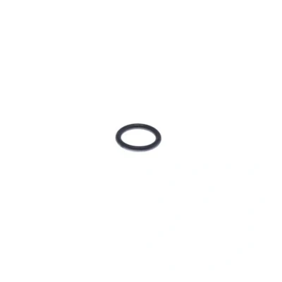 Image of Glow Worm 0020026404 O Ring