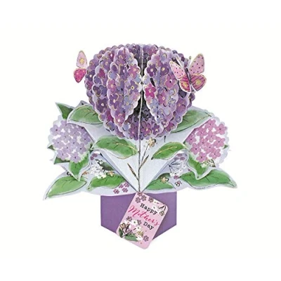 Image of Happy Mother&#039;s Day Flowers Pop Up Greeting Card Second Nature 3D Cards MPOP024