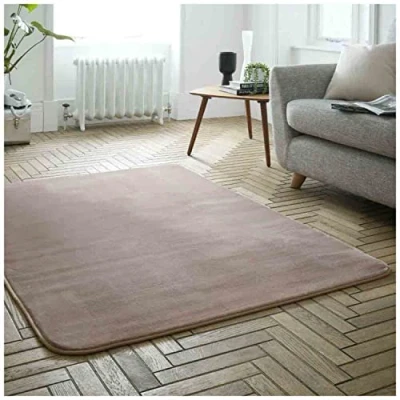Image of GC GAVENO CAVAILIA Velvet Rugs Living Room, Soft &amp; Fluffy Carpet Mat, Washable Rug For Bedroom, Mink