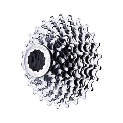 Image of SRAM PG1070 10 Speed Cassette, Silver, 11 36