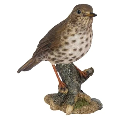 Image of Vivid Arts Garden Birds (Song Thrush)